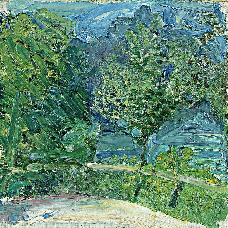 Lakeside Road Near Gmunden