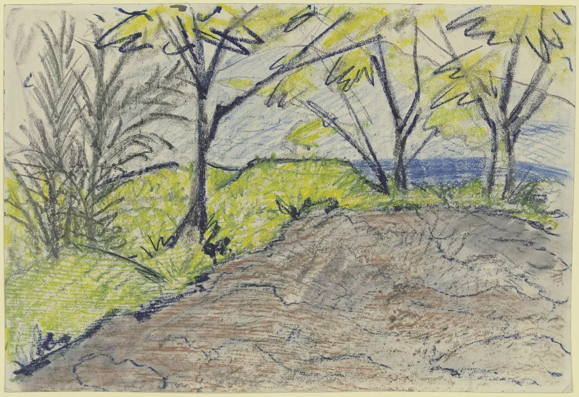 Landscape 13