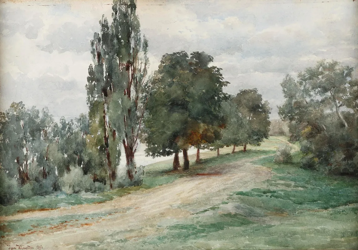 Landscape 259