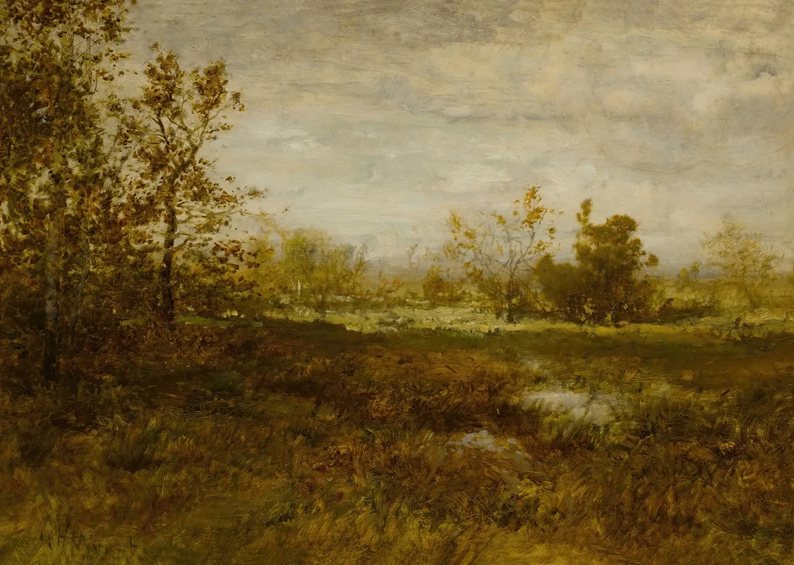 Landscape 265