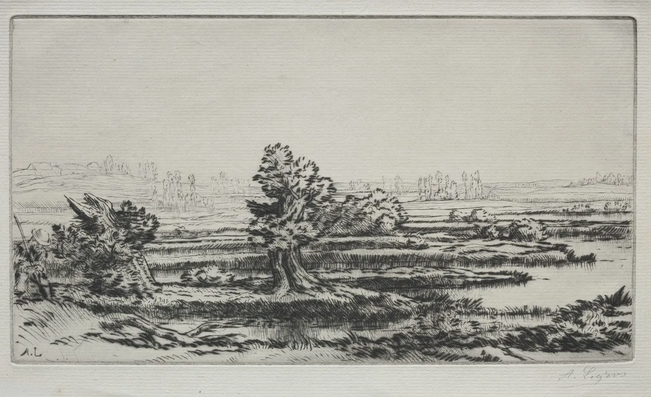 Landscape 3 3