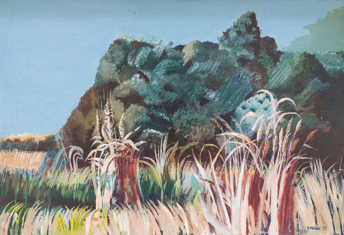 Landscape 358