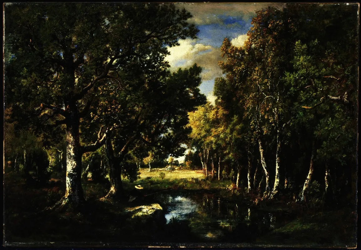 Landscape 376