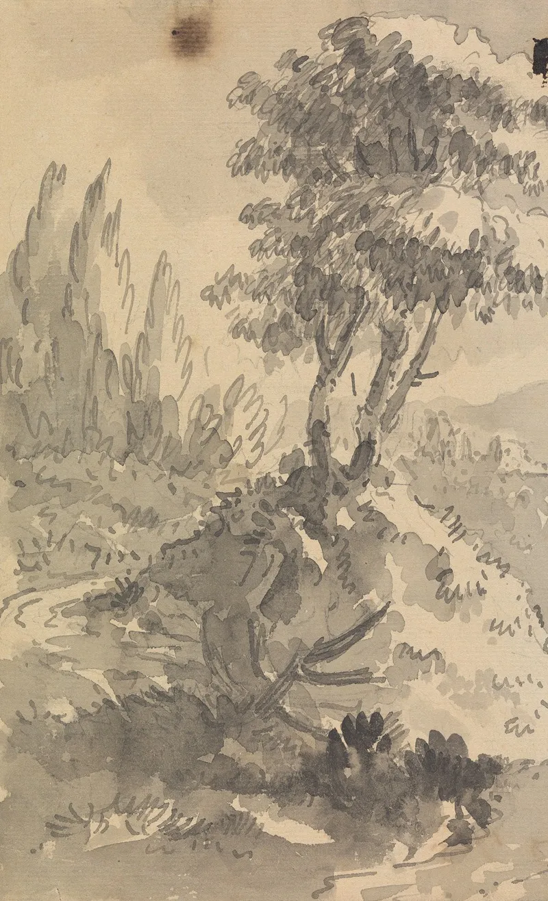 Landscape 384