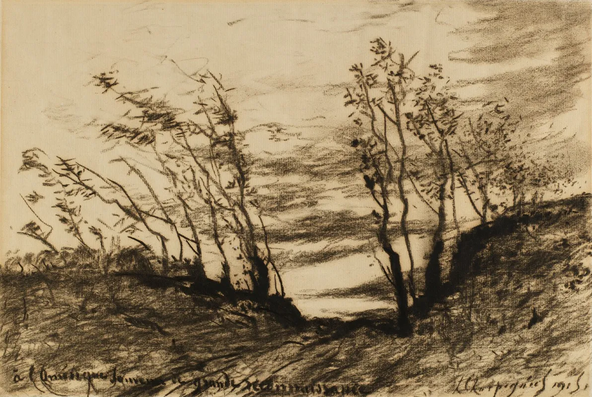 Landscape 421