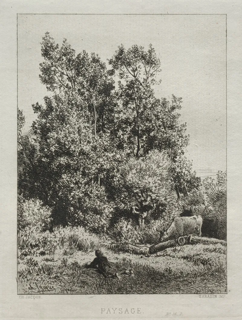 Landscape 431
