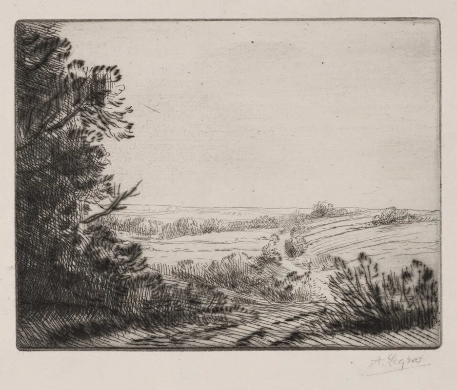 Landscape 473