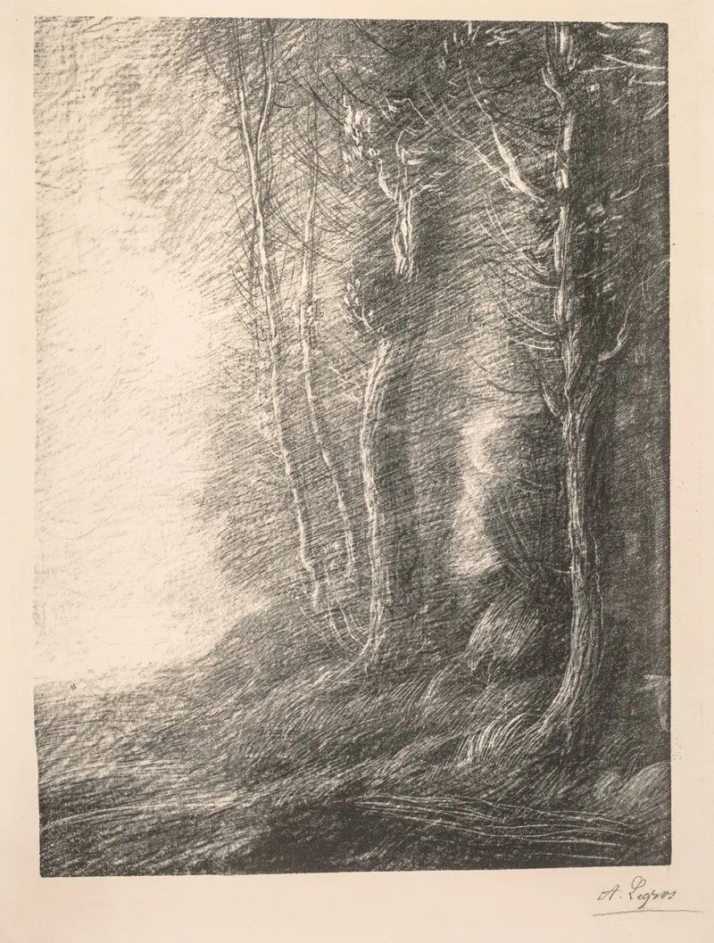 Landscape 5 2