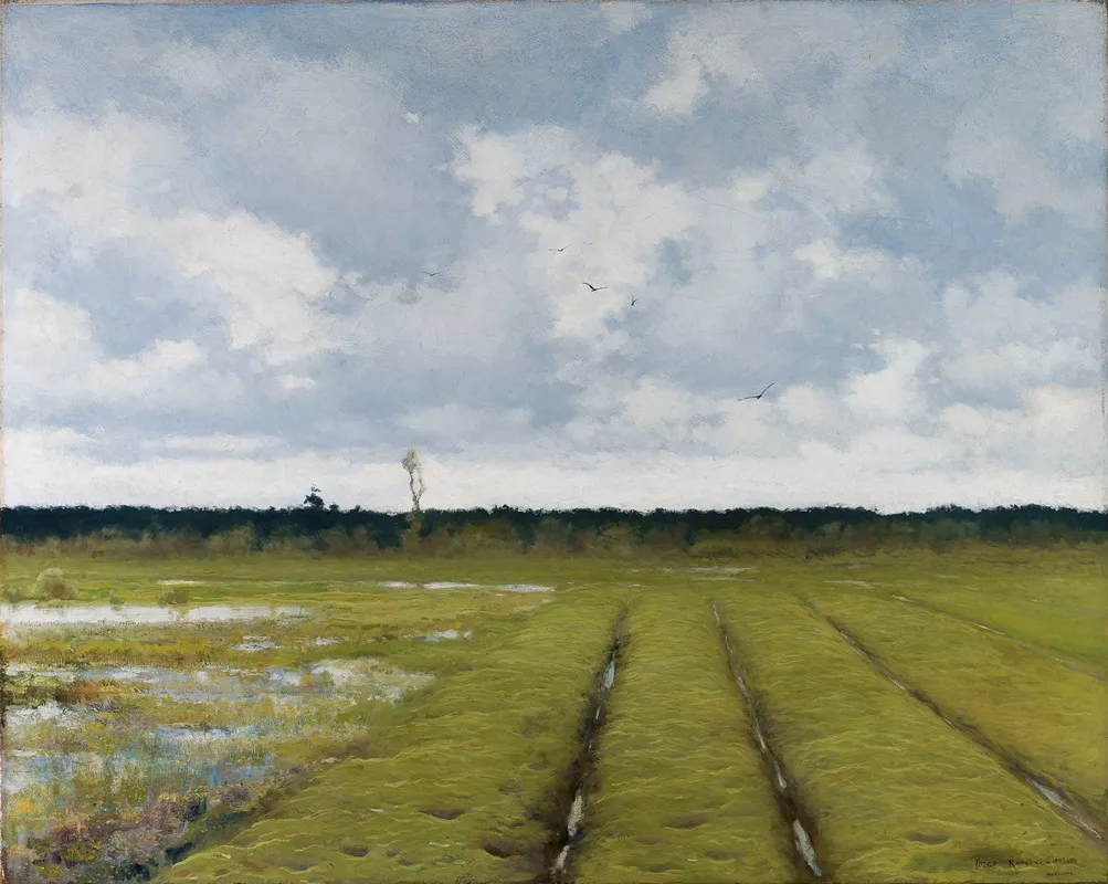 Landscape 507