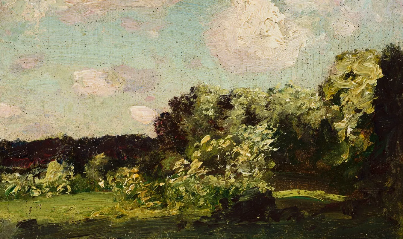 Landscape 509