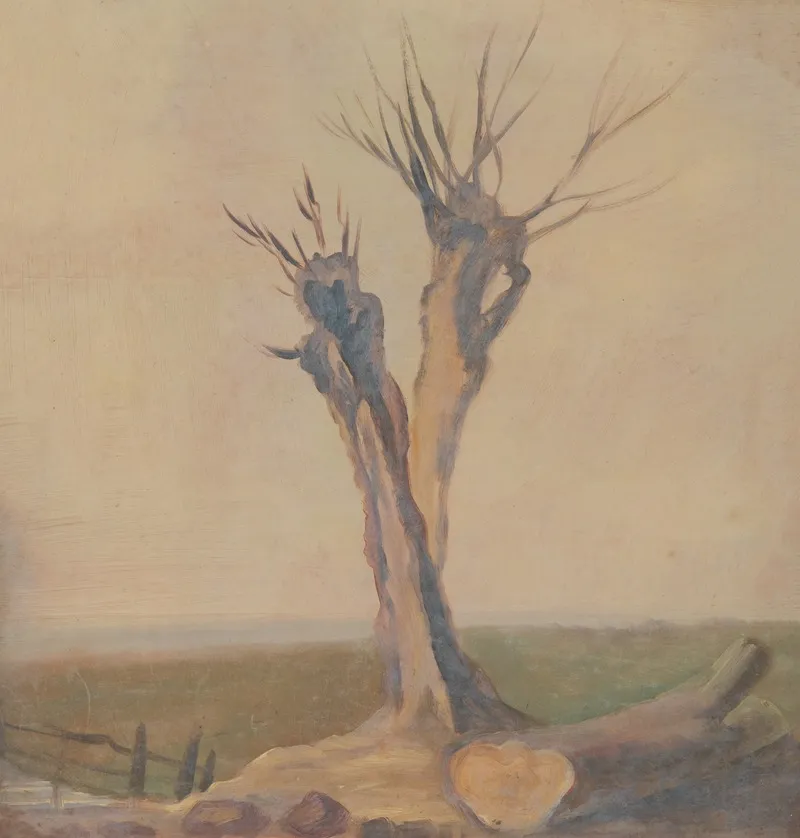 Landscape 575