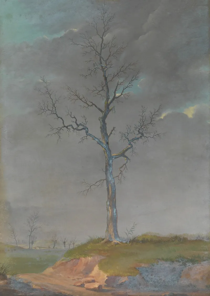 Landscape 577