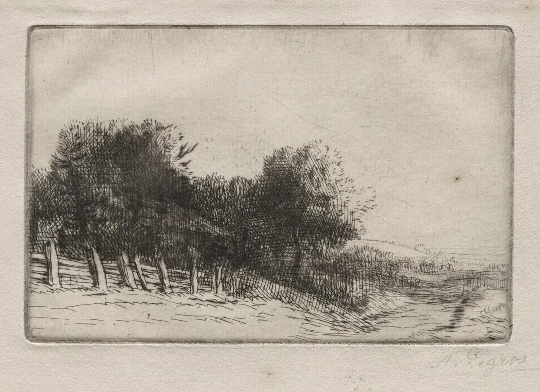 Landscape 8 2