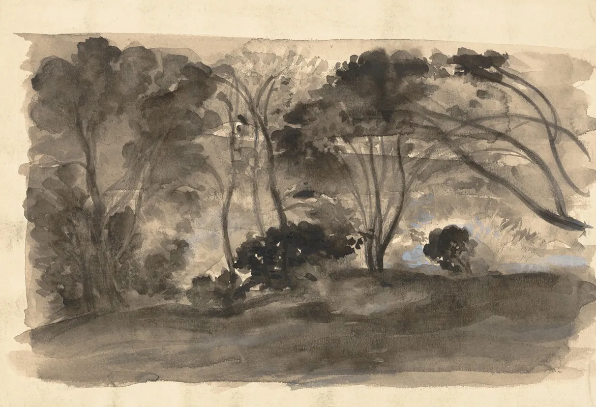 Landscape Black Trees Ii