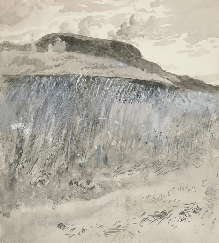 Landscape Fields