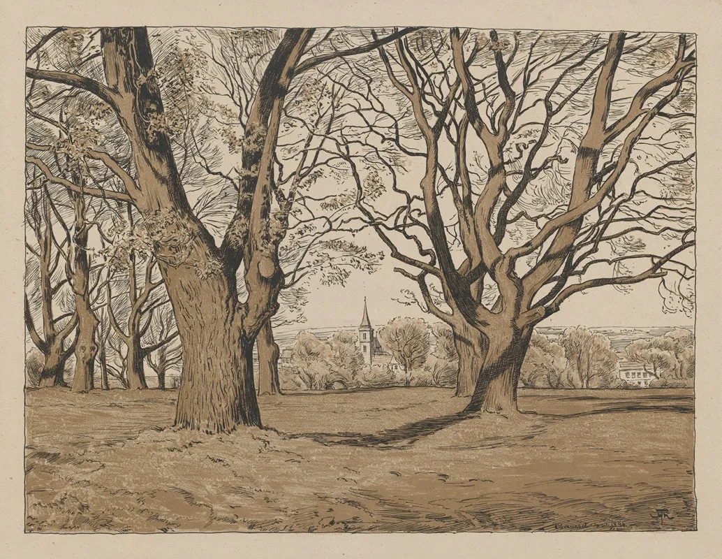 Landscape From The Obersursel Area