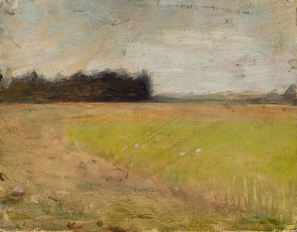 Landscape In Finland 4