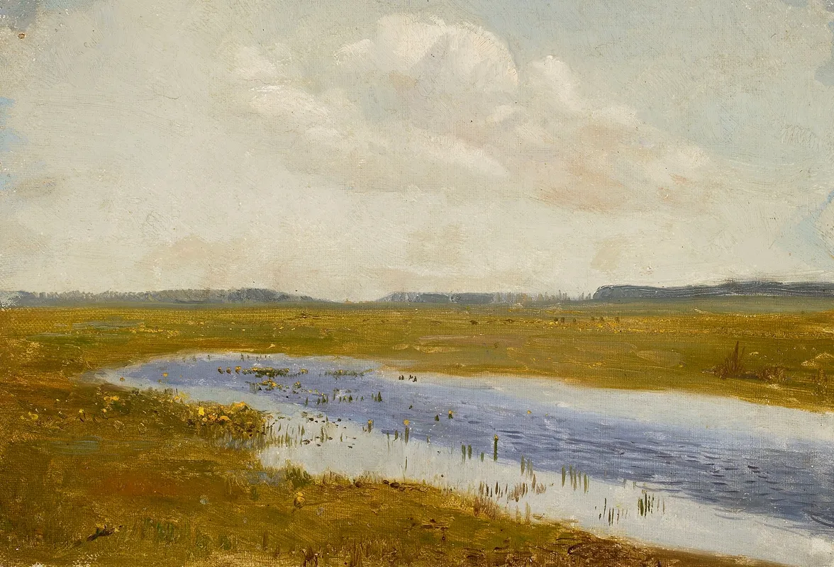 Landscape Meadow With Marsh Marigolds