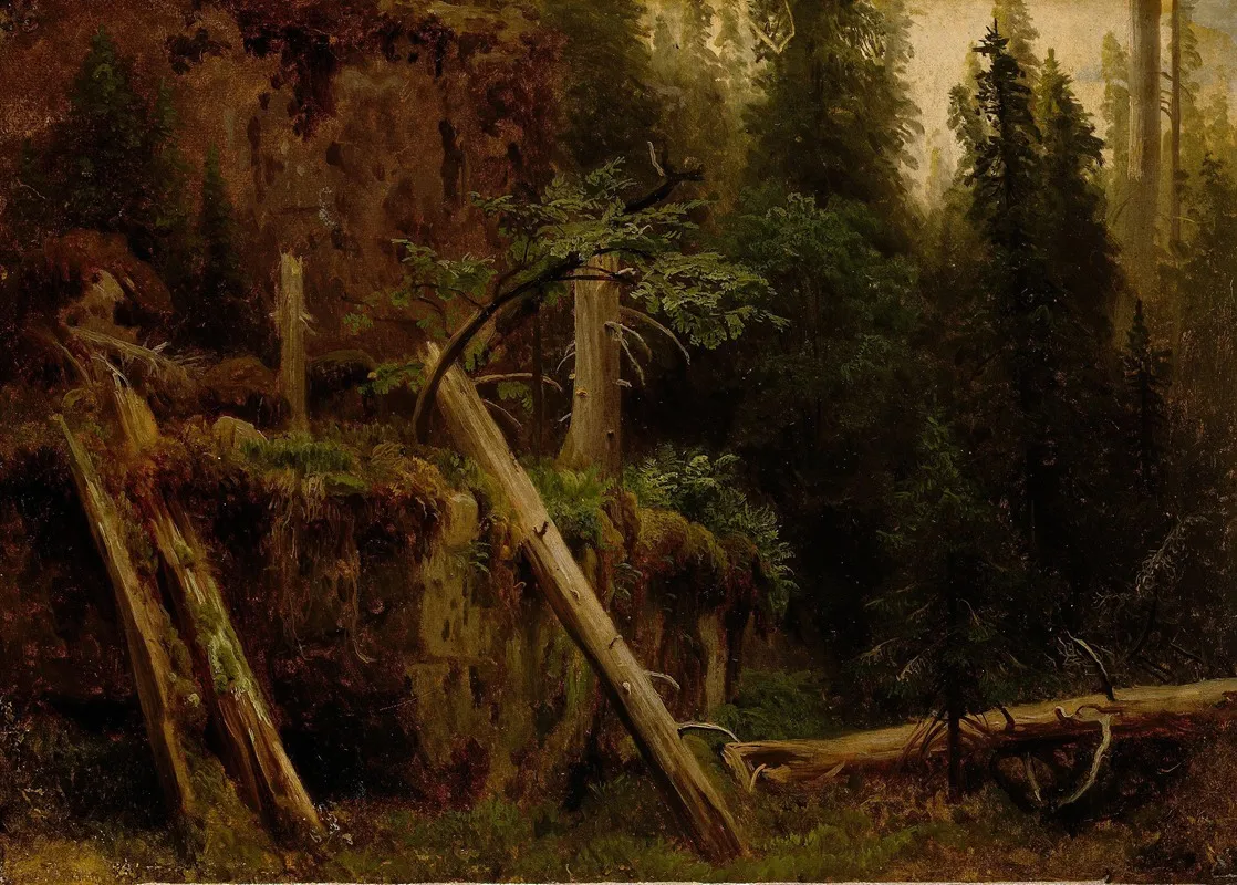 Landscape Study With Decaying Trees