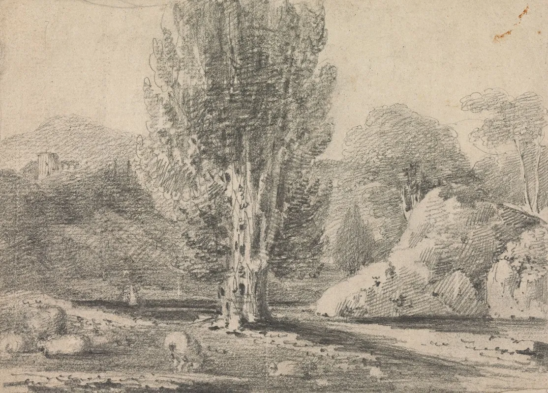 Landscape Study With Tall Tree And Sheep by Rev. William Warren Porter - Canvas Print