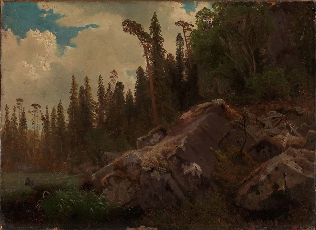 Landscape Study With Trees And Rocks