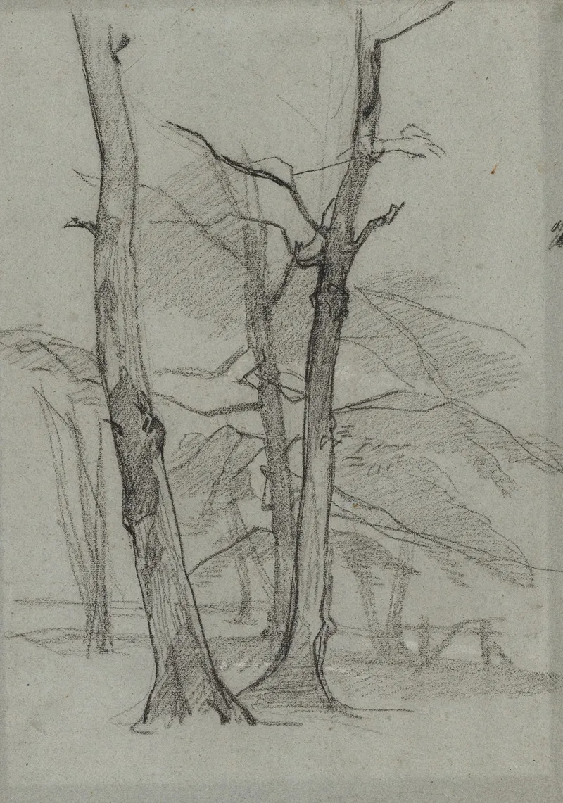 Landscape Study With Trees