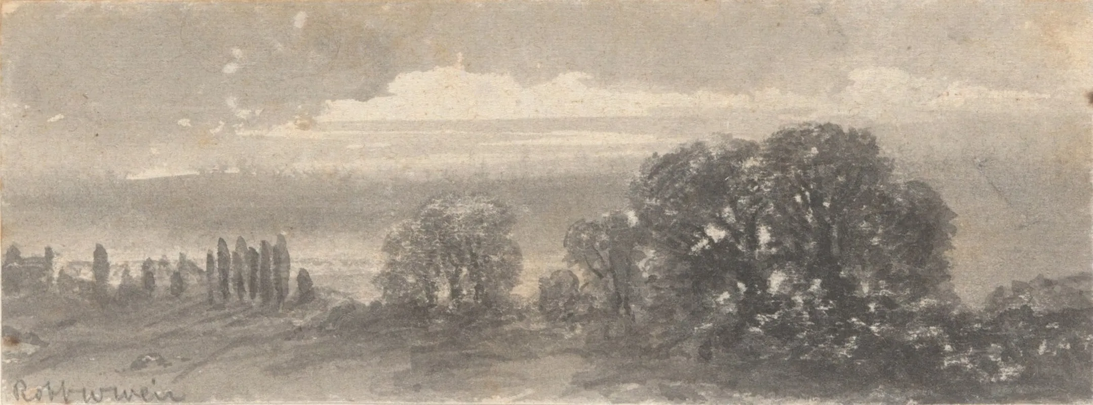 Landscape Trees