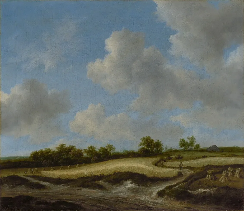 Landscape With A Wheatfield by Jacob van Ruisdael - Canvas Print