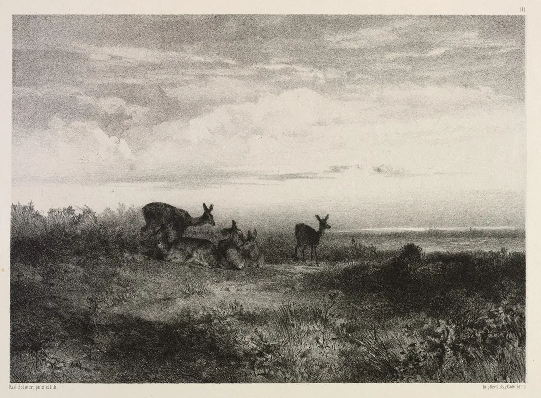 Landscape With Deer 3 by Karl Bodmer - Canvas Print