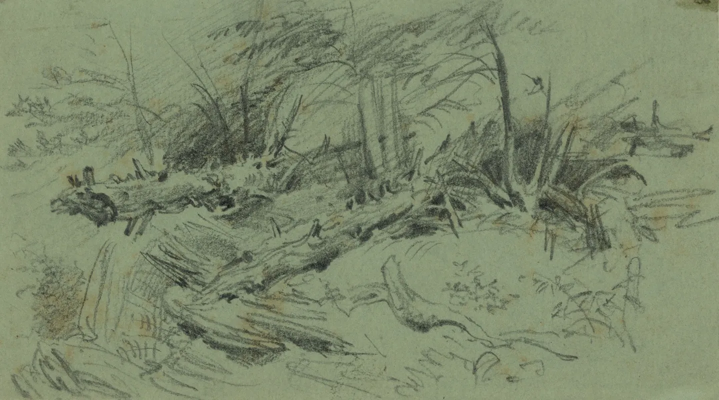 Landscape With Fallen Trees And Rocks