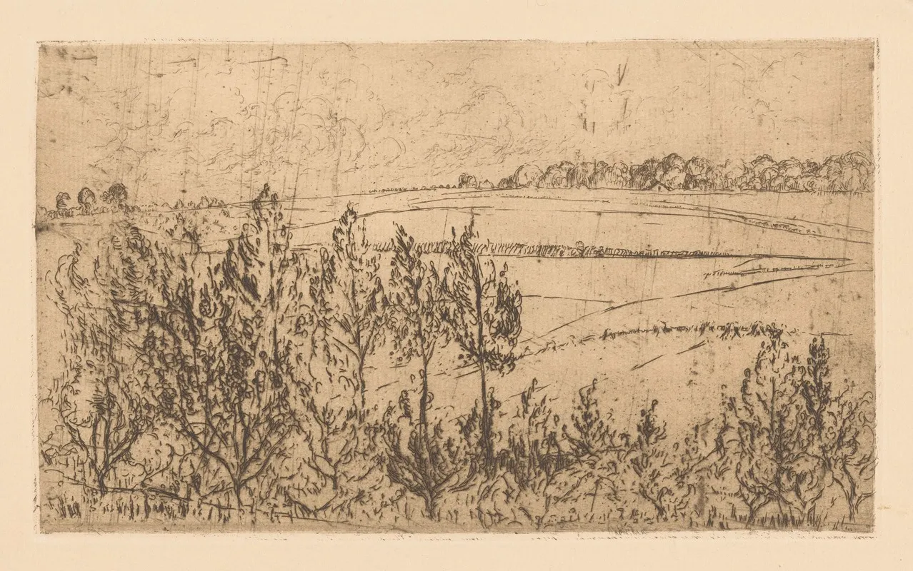 Landscape With Fields And Trees by Johannes Löhr - Canvas Print