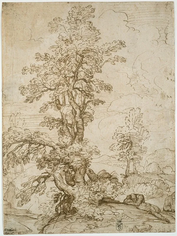 Landscape With Man Sleeping Beneath Tree by Annibale Carracci - Canvas Print