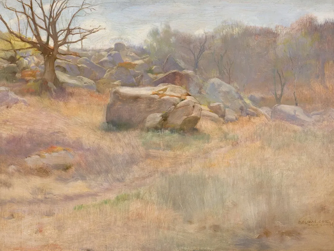 Landscape With Rock