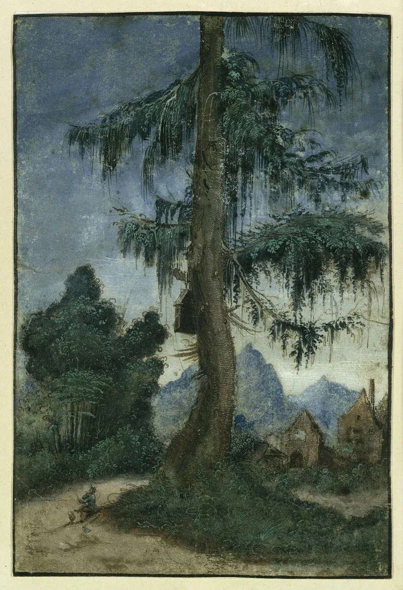 Landscape With Spruce