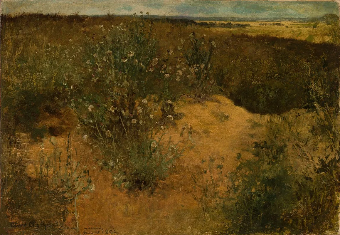 Landscape With Thistles by Curt Agthe - Canvas Print