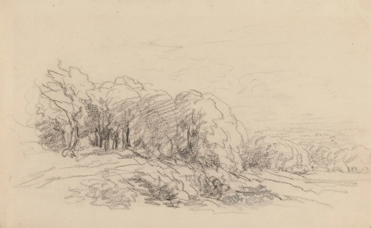 Landscape With Trees 16