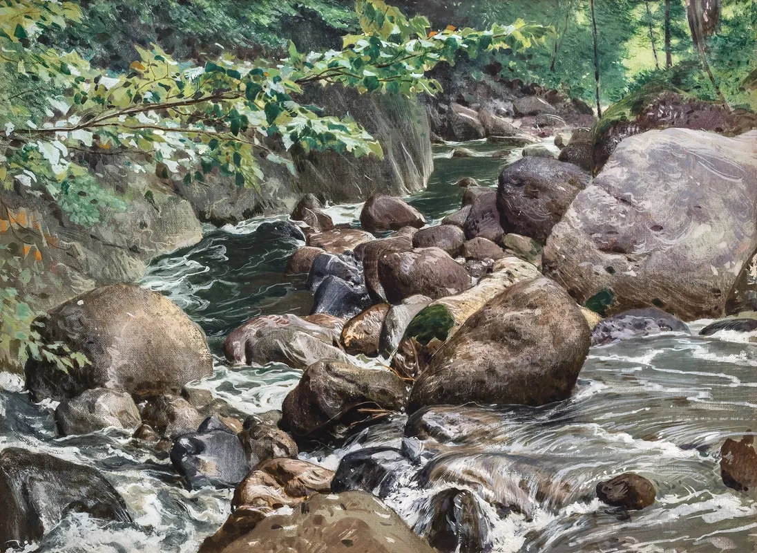 Landschaft Mit Wildbach