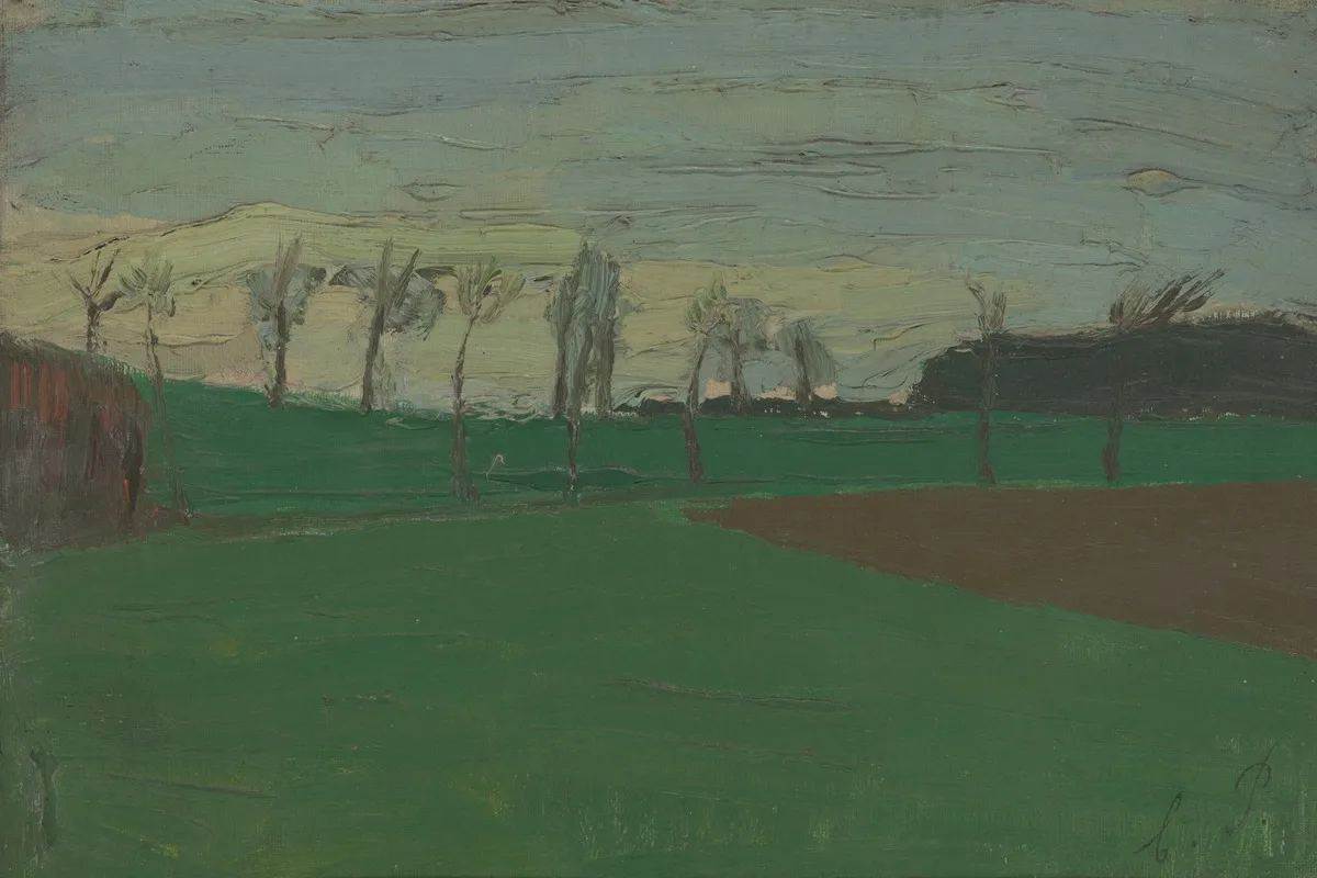 Landschap 13
