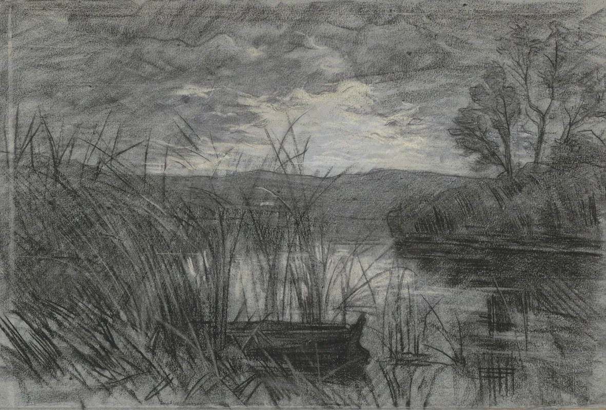 Landschap Met Een Roeiboot Tussen Het Riet Van Een Rivier