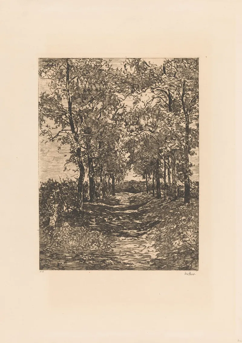 Landschap Met Smalle Laan