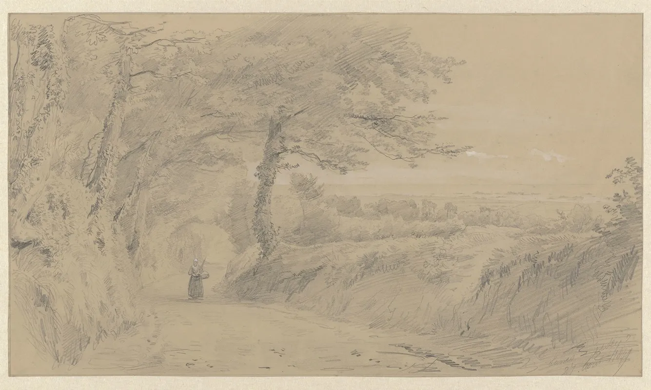 Landschap Op Jersey