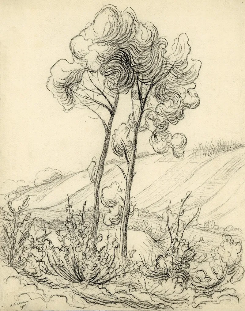 Landschappen In Houtskool 2 by Albert Daenens - Canvas Print