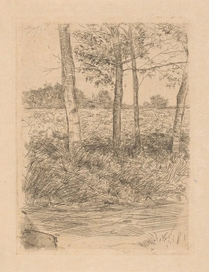 Landweg Met Bomen Bussum