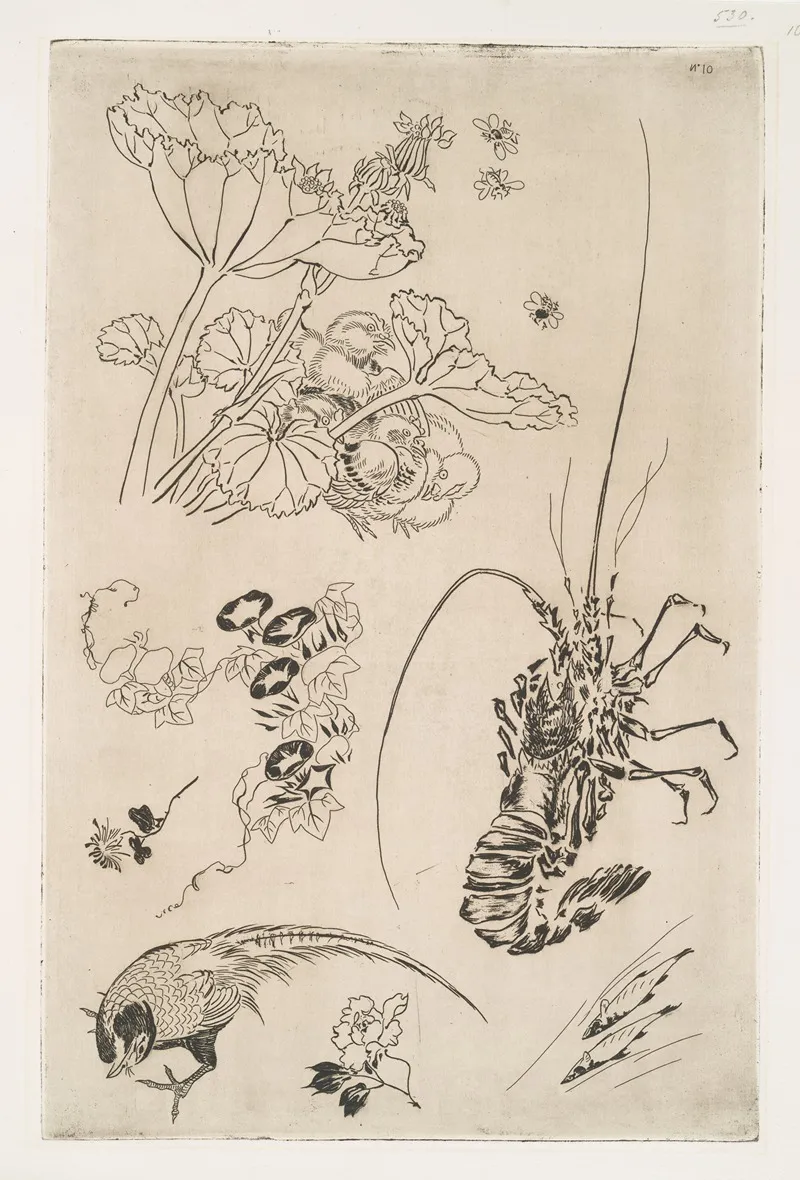 Langouste Plantes Avec Oiseaux