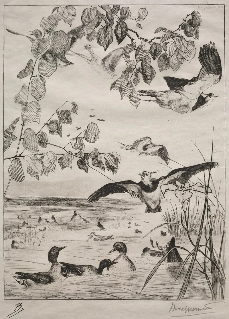 Lapwings And Teals