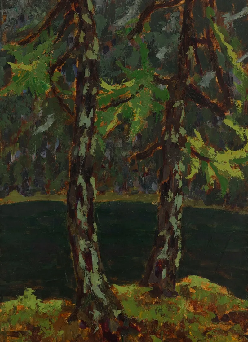 Larch Trees By The Lake In Dobiacco by Jan Bohuszewicz - Canvas Print