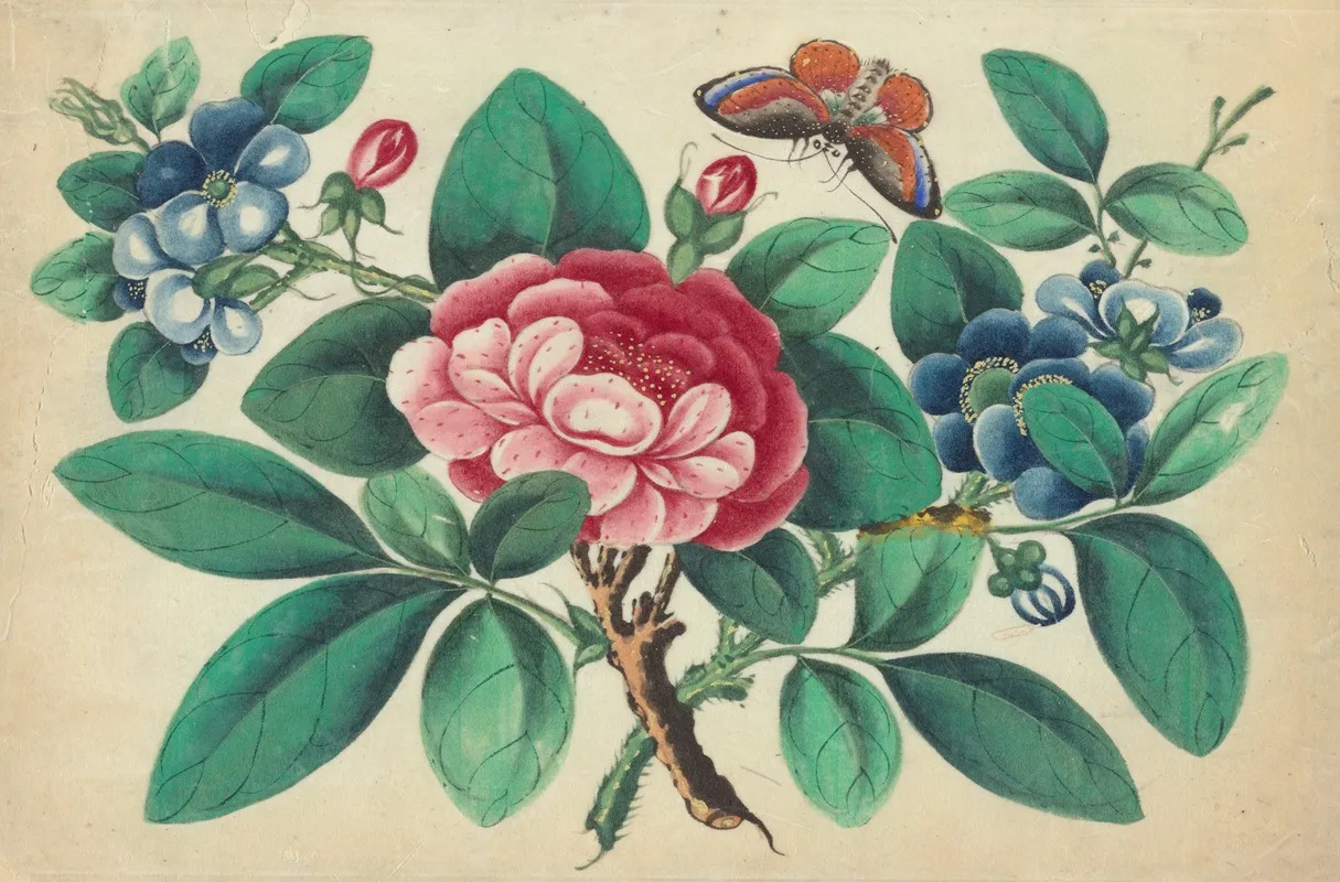 Large Red Flower Blue Flowers Butterfly