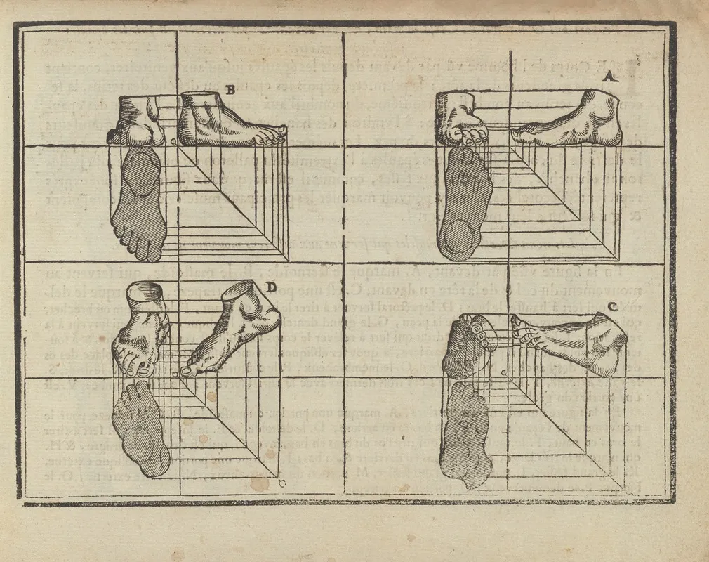 Lart De Dessiner De Maistre Jean Cousin Pl 12