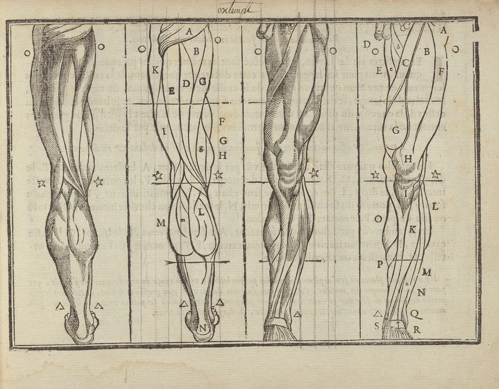 Lart De Dessiner De Maistre Jean Cousin Pl 17