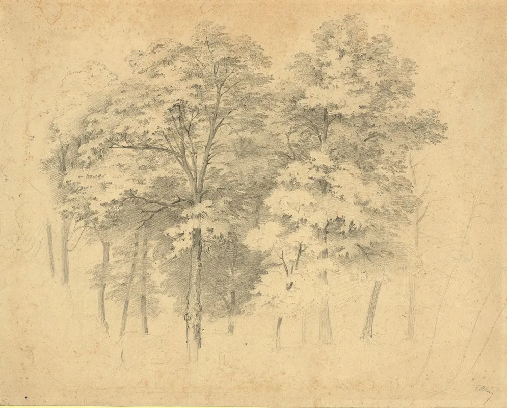 Laubwaldbaume by Tina Blau - Canvas Print